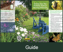 GUIDE Pollinator Friendly Pesticide Factsheet
